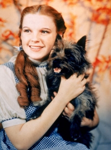Dorothy y Toto, en El Mago de Oz