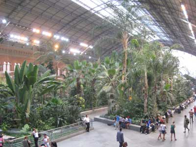 Jardín en el interior de la estación de Atocha en Madrid