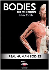 Bodies, the Exhibition